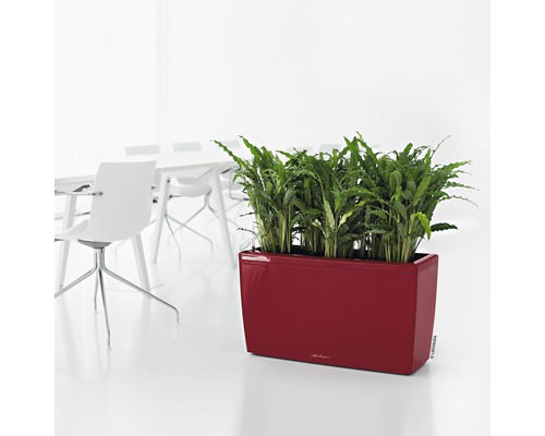 Jardinière rectangulaire avec des plantes vertes sur le sol