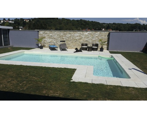 Aussenpool mit Liegestühlen, Gartengarnitur und Hund im Garten