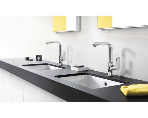 Salle de bains avec deux lavabos, robinets et espace de rangement