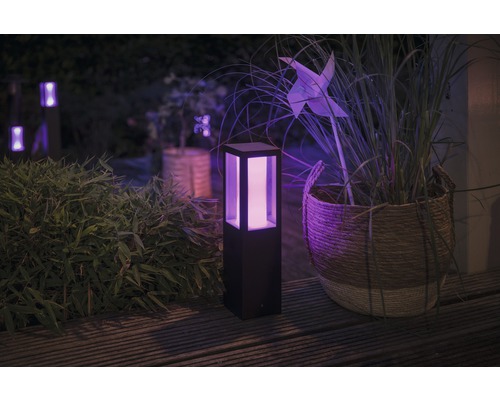 Aménagement de jardin avec luminaire, éolienne et végétation