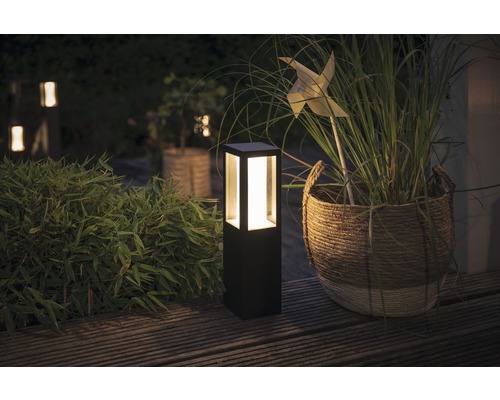 Scène de jardin avec un luminaire de chemin noir, un panier à plantes et des plantes vertes sur une terrasse en bois