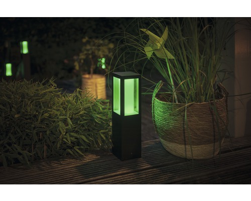 Jardin éclairé avec luminaires et plantes