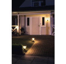 Beleuchteter Hauseingangsbereich mit Weg, Rasen und Aussenleuchten