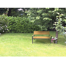Gartenansicht mit Rasenfläche, Hecke, Bäumen und einer Holzbank