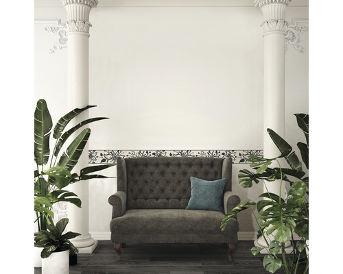 Exemple d''aménagement avec canapé, plantes et bordure dans la pièce.