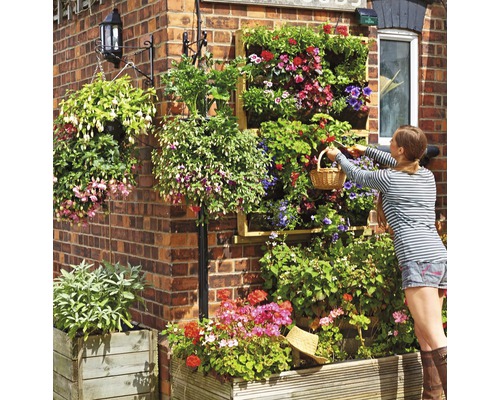 Idées de conception pour un mur végétal avec jardinières et plantes suspendues