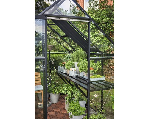 Gewächshaus mit Pflanzen und Regalen im Garten