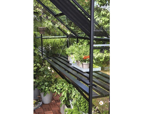 Gewächshaus Innenansicht mit Pflanzen auf Regalen.