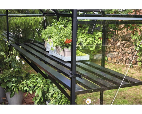 Regal im Gewächshaus mit Pflanzen