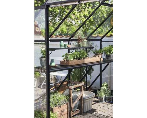 Serre avec étagères et divers conteneurs pour plantes.