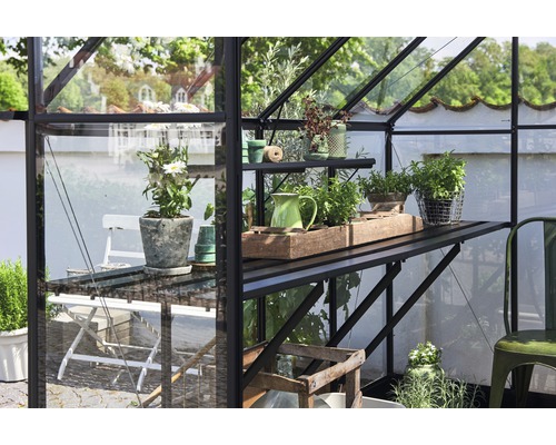 Serre avec étagères et plantes