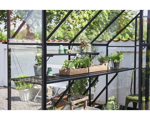 Serre avec étagères et plantes en pot