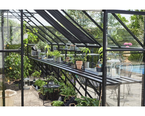 Serre avec plantes et accessoires de jardin