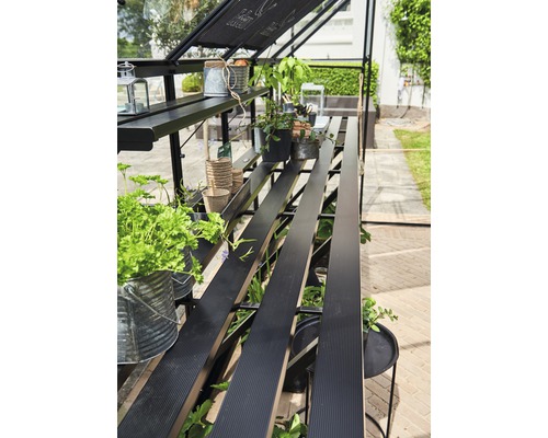 Serre avec plantes et étagères pour le jardin