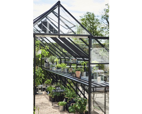 Serre avec plantes et étagères