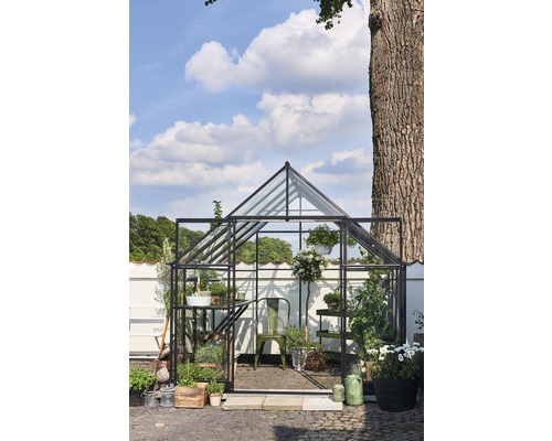 Gewächshaus mit Pflanzen und Gartenwerkzeugen vor weisser Wand