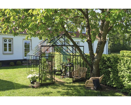 Serre de jardin avec mobilier de jardin et plantes