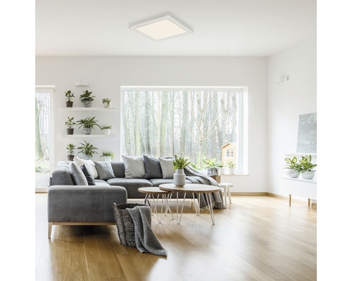 Wohnzimmer mit grauer Couch, Pflanzen und quadratischer Deckenleuchte