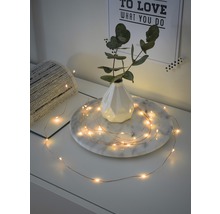 Guirlande lumineuse décorative sur une table avec vase et plante.