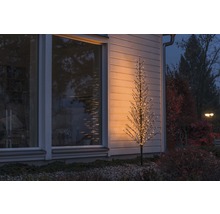 Beleuchteter Deko-Baum vor einem Haus im Aussenbereich.