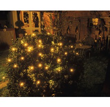 Buisson illuminé avec des lumières dans le jardin la nuit.