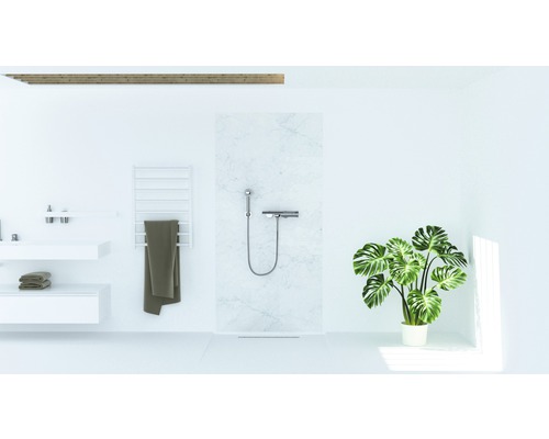 Salle de bains avec douche, lavabo, sèche-serviettes et plante d''intérieur