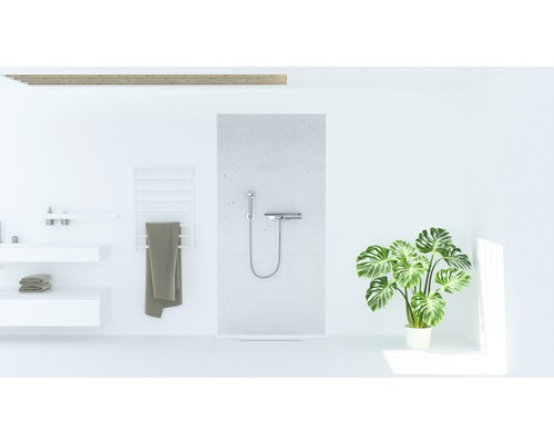 Salle de bains lumineuse avec douche, lavabo, radiateur et plante d''intérieur