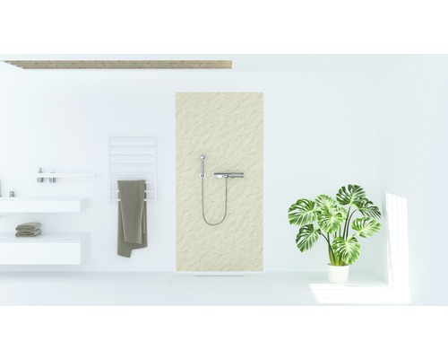 Salle de bains avec douche, lavabo, sèche-serviettes et plante d''intérieur