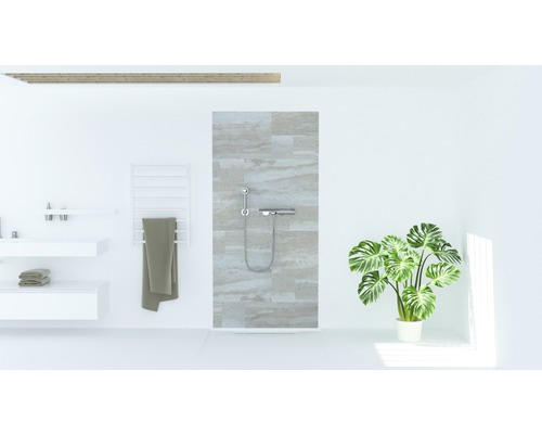 Salle de bains avec douche, lavabo, sèche-serviettes et plante d''intérieur