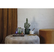 Dekorative Szene mit Miniaturgewächshaus, kleinem Baum, Tasse und Hocker