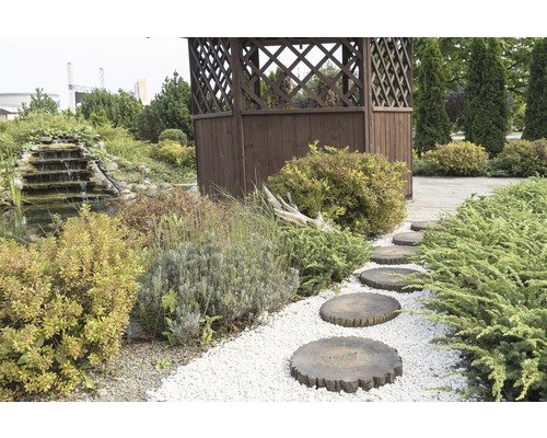 Gestalteter Garten mit Pavillon, Wasserfall und Trittsteinen