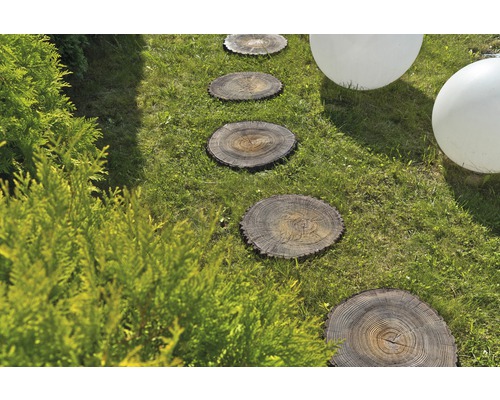 Gartenweg mit Trittplatten aus Baumscheiben im Rasen