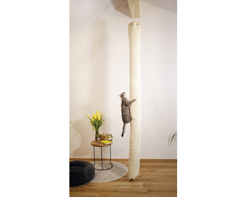 Katze klettert an einem Deckenspanner-Kratzbaum