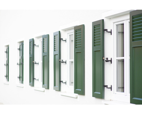 Rangée de fenêtres avec des volets verts sur une façade