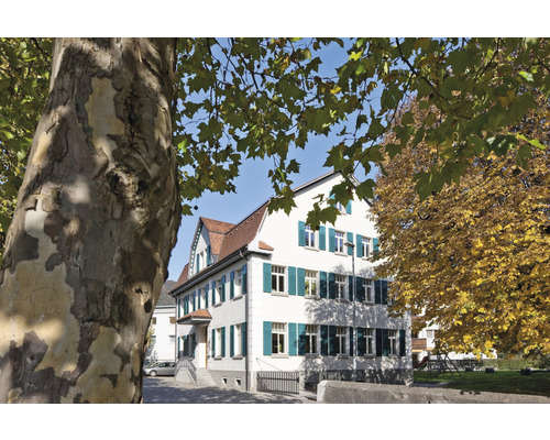 Immeuble de plusieurs étages avec des volets