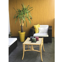 Dekorierter Balkon mit Korbsessel, Pflanze und Tisch