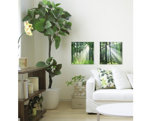 Salon avec tableaux muraux à motifs de forêt, plante et canapé