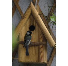 Vogelhaus aus Holz mit einer Kohlmeise