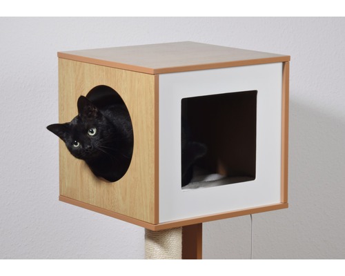 Katze schaut aus Katzenhaus auf Kratzbaum