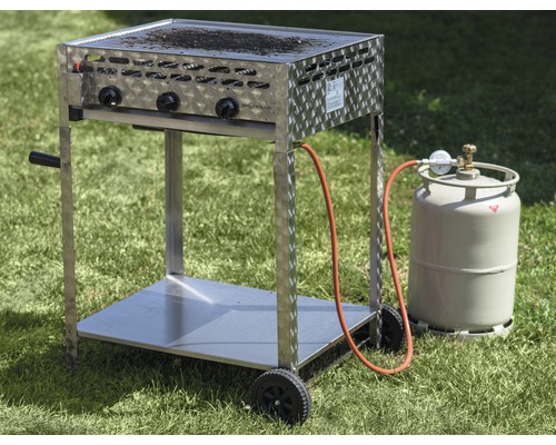 Grillwagen mit Gasflasche auf einer Wiese
