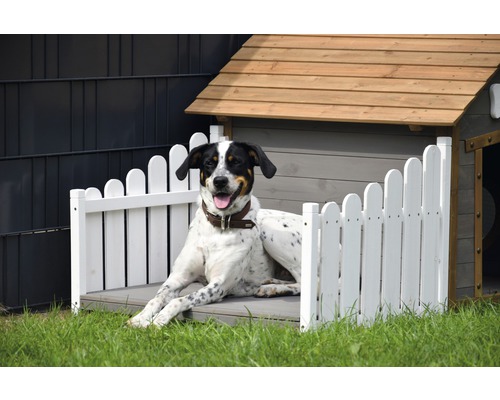 Hund liegt entspannt in einem Hundehaus mit Zaun