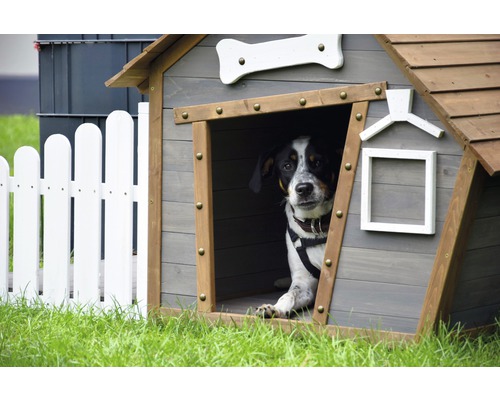 Hund in Hundehütte neben weissem Zaun auf Rasen