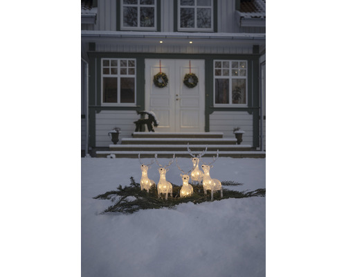 Groupe de rennes illuminés sur des branches de sapin dans la neige devant une maison.