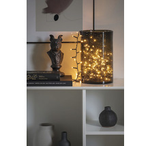 Étagère décorative avec vase en verre remplie d''une guirlande lumineuse, buste d''animal et vases