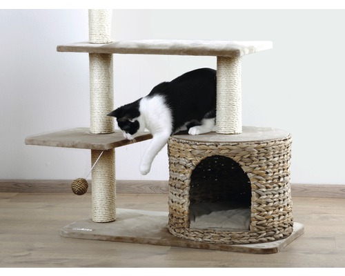 Katze auf einem Katzenbaum mit Kratzstamm, Liegeflächen und einem Katzenhaus aus Korbgeflecht