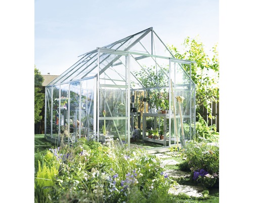 Gewächshaus Halls Magnum 108 8,3 m² Blankglas 3 mm 257x322 cm Aluminium Gewächshaus Halls Magnum 108 8,3 m² Blankglas 3 mm 257x322 cm Aluminium