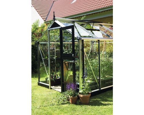 Gewächshaus JULIANA Compact 6,6 m² 3 mm Sicherheitsglas 224 x 296 cm Aluminium Gewächshaus mit Pflanzen im Garten