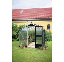 Gewächshaus mit geöffneter Tür im Garten