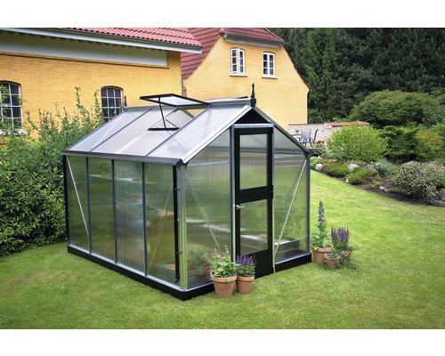 Serre de jardin avec plantes en pot.