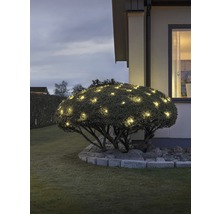 Vue de jardin avec buisson illuminé près d''une maison